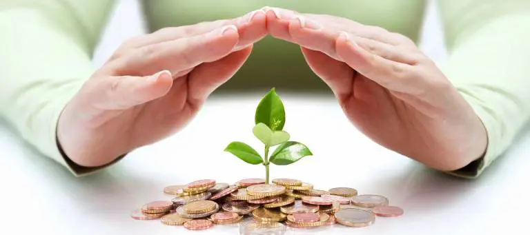A person 's hands are holding a plant over some coins.